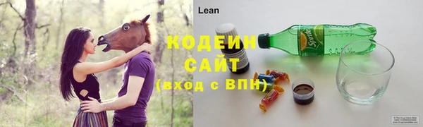амф Новозыбков
