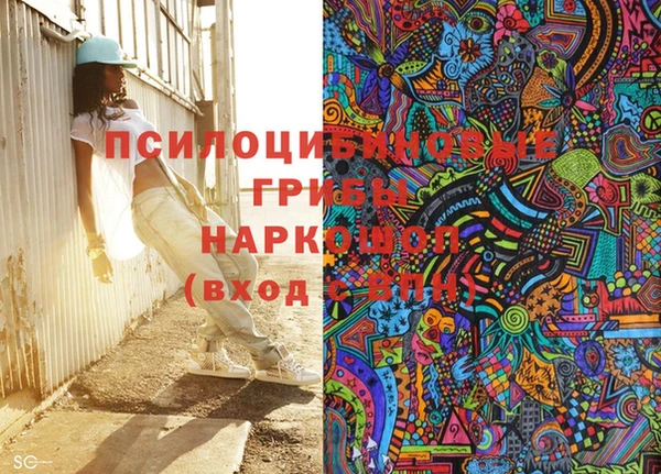 стаф Алексин